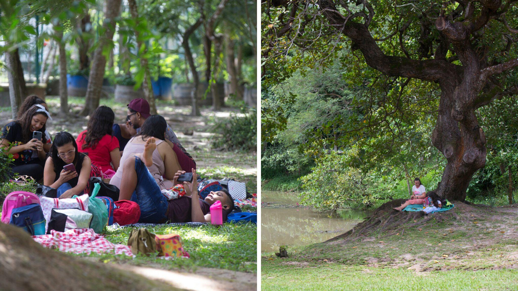 Visitantes do Parque Ecológico do Passaré, em Fortaleza, fazem piquenique no local