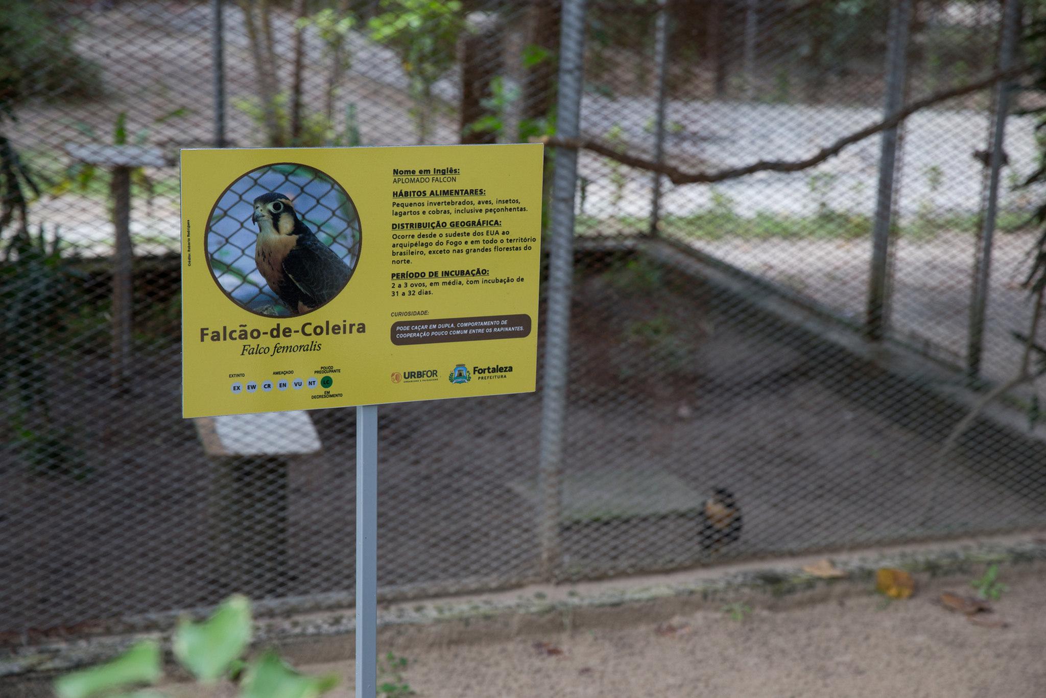 Placa informativa em frente a gaiola da espécia falcão-de-coleira no Zoológico Municipal Sargento Prata, em Fortaleza