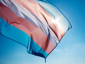 Bandeira do orgulho transgênero acenando no céu azul, movida pelo vento, com o sol ao fundo.