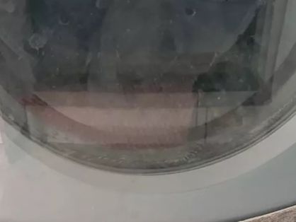 Cachorro preso em máquina de lavar.
