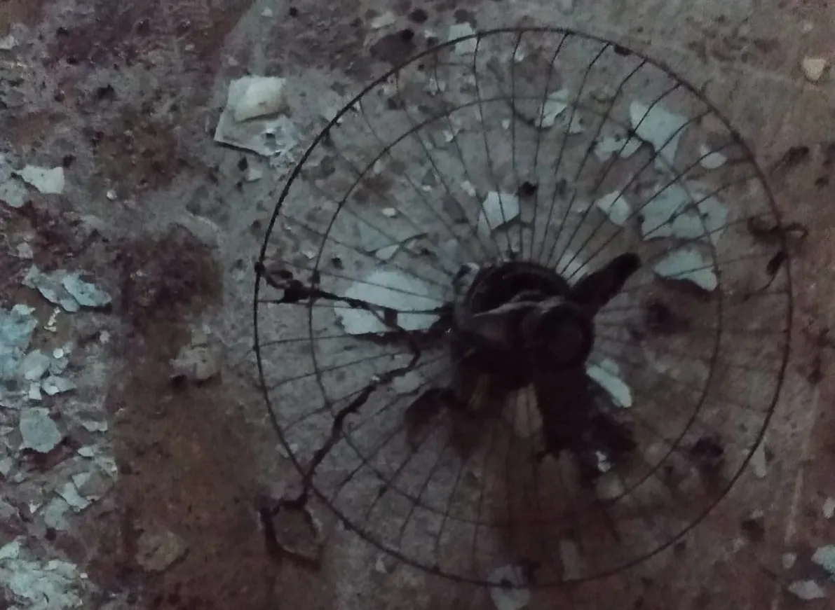 Um ventilador de teto também foi danificado no incidente.