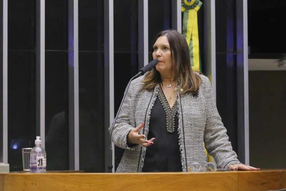 Bia Kicis (PL-DF) é relatora da PEC na Câmara.