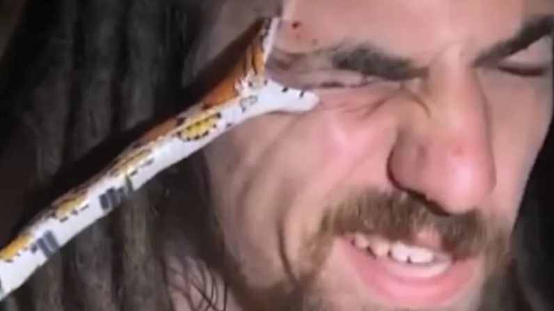 Cobra morde sobrancelha de homem durante vídeo