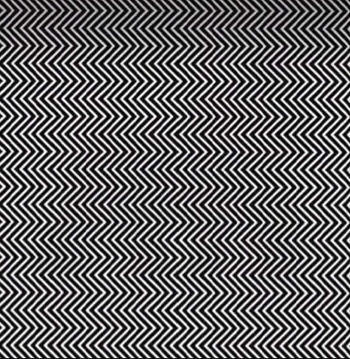 Imagem da notícia: Teste do TikTok desafia pessoas a encontrarem animal em imagem; taxa de acertos é 'apenas 5%' 