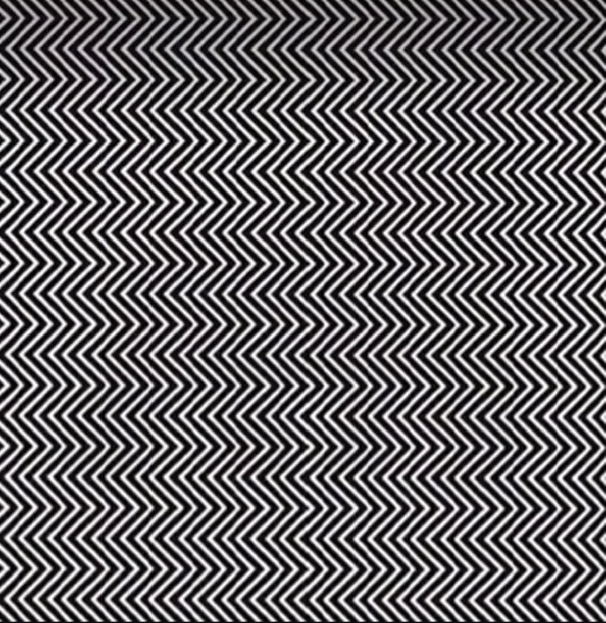 Um animal esconde-se entre as listras. Qual é?