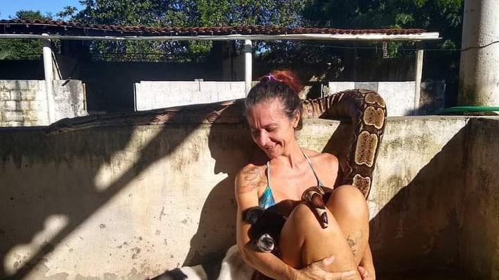 Cobras viram animais de estimação: 'manutenção é barata, não se alimentam  todo dia como um cachorro' - Ceará - Diário do Nordeste