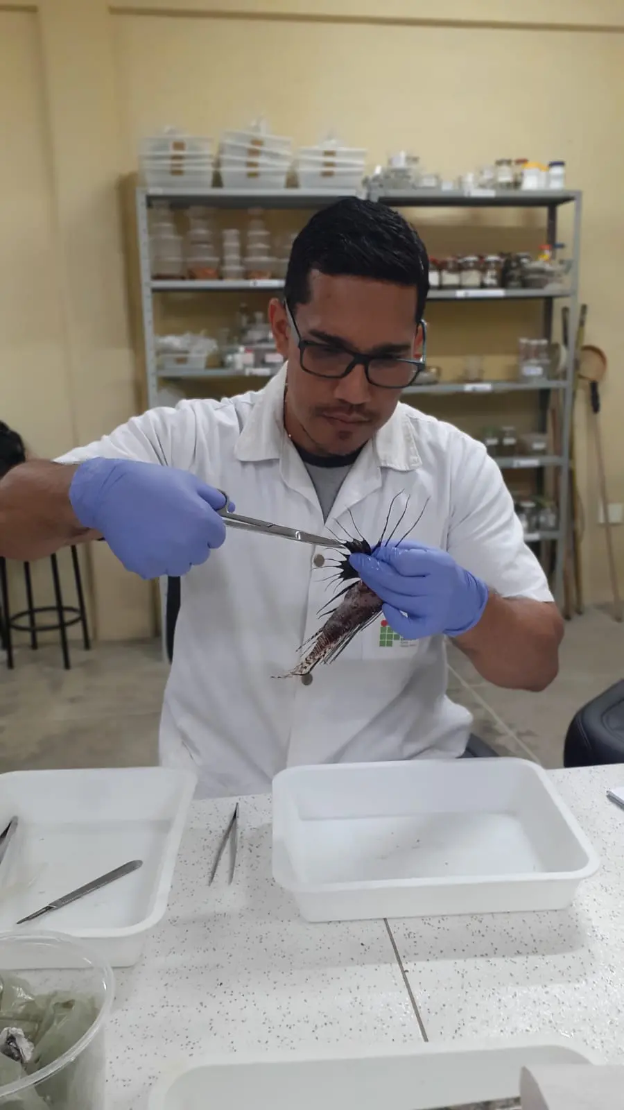 Pesquisador recolhe amostra do peixe-leão para investigação genética