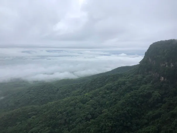 Serra da Ibiapaba está entre as unidades de conservação mais afetadas pelo desmatamento