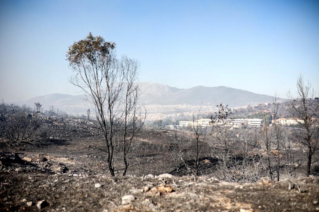 Incêndio florestal na Grécia
