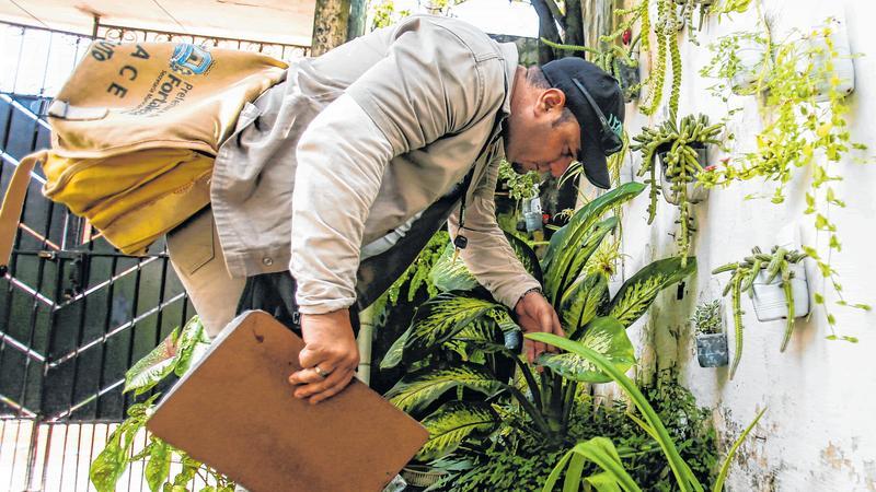 Agente de endemias checa plantas em uma casa.