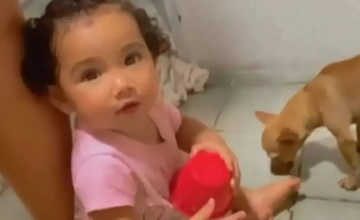 bebê de 1 ano que morreu atropelada no Ceará