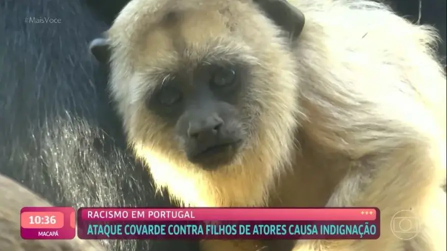capa da noticia