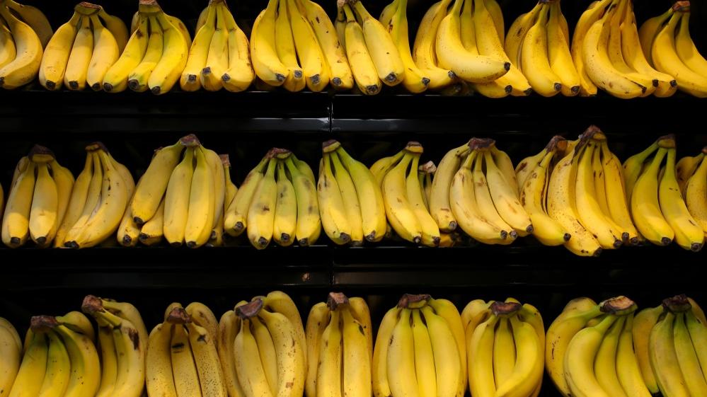 Vários cachos de bananas pendurados em fila em um supermercado.