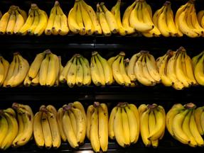 Vários cachos de bananas pendurados em fila em um supermercado.