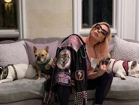 sequestro de cães de Lady Gaga
