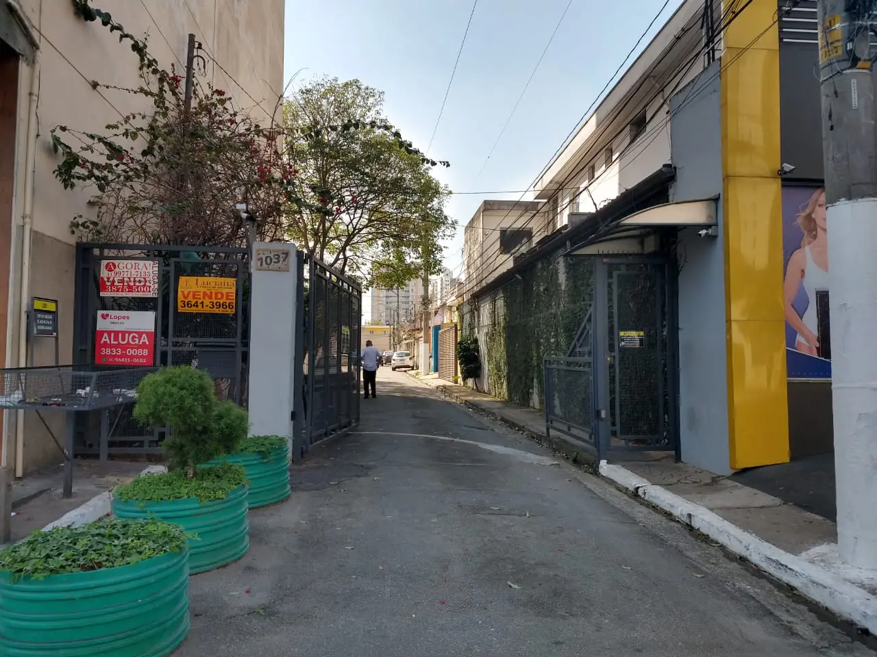 Ru em São Paulo recebe nome de cearense