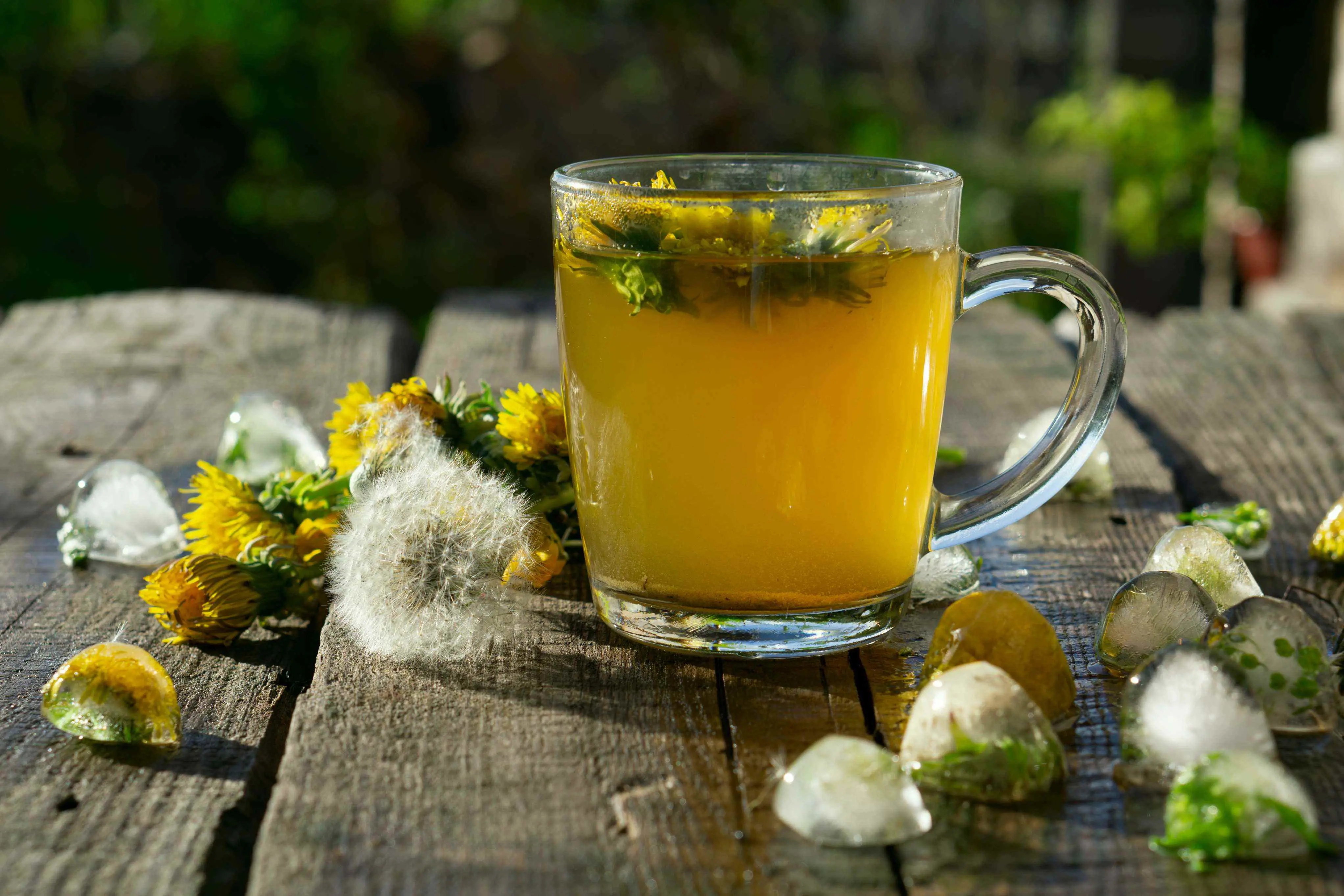 Imagem mostra o chá da planta Dente de Leão