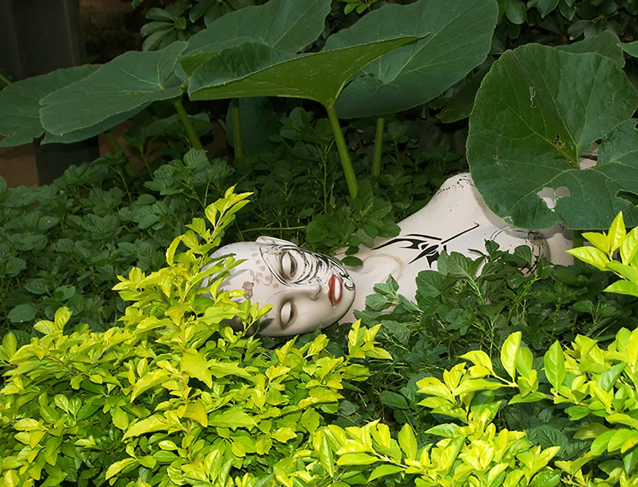 Fotografia feita em São Paulo, em 2007