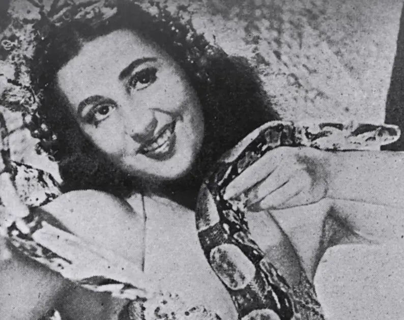 luz del fuego durante filme No Trampolim da Vida