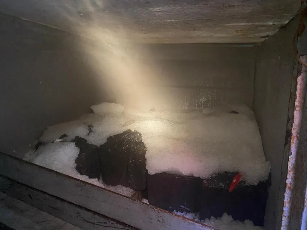 Havia 41 fardos de cocaína, com cerca de 30 kg cada. Parte da mercadoria ilegal ficou congelada
