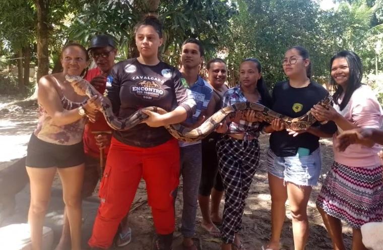 Cobra que mama em gente, anaconda no CE, salamanta mortal: o que é mito ou  realidade sobre serpentes - Ceará - Diário do Nordeste