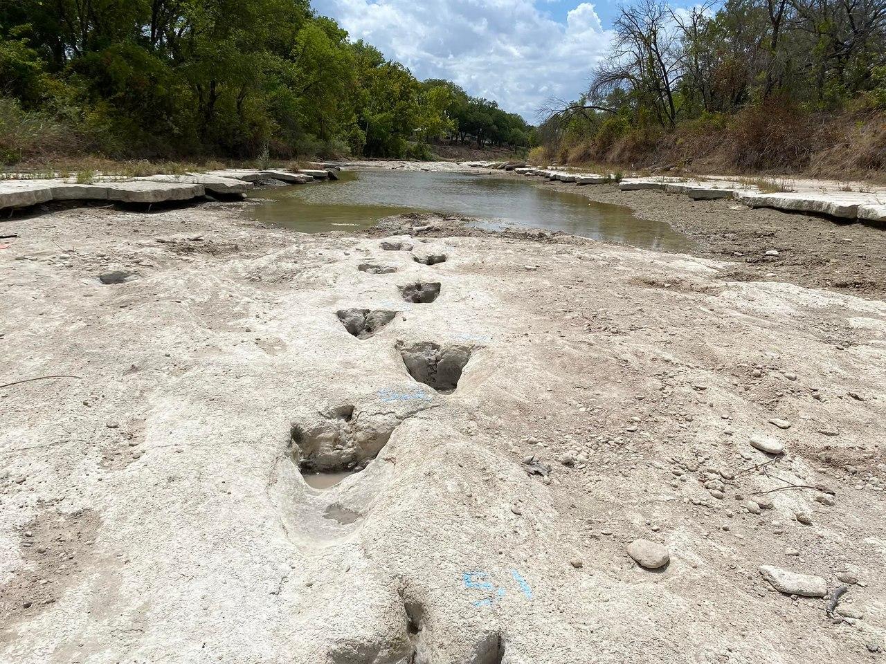 Pegadas de dinossauros reveladas por seca em rio que atravessa o Parque Estadual do Vale dos Dinossauros, Texas, Estados Unidos