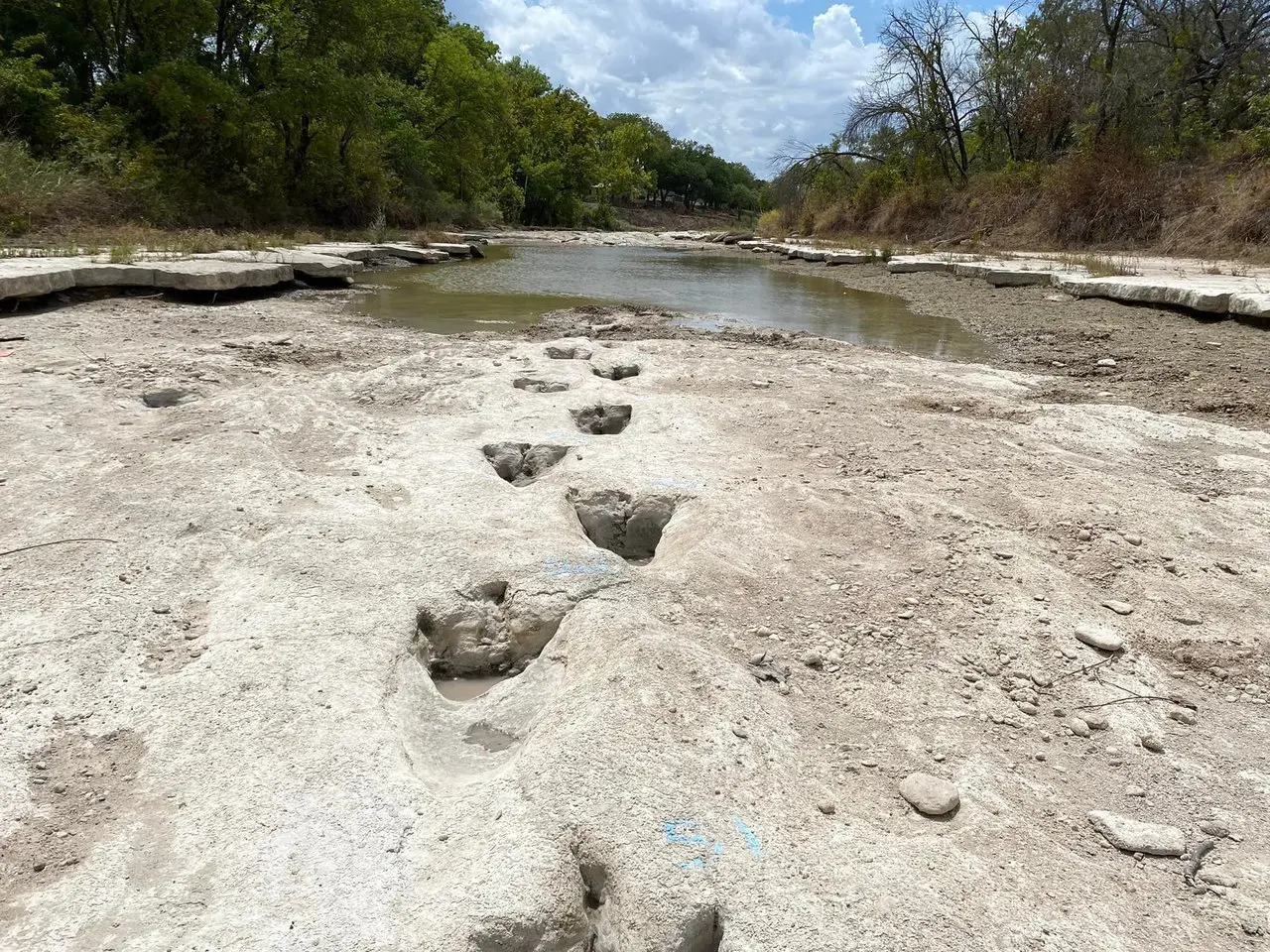 Pegadas de dinossauros reveladas por seca em rio que atravessa o Parque Estadual do Vale dos Dinossauros, Texas, Estados Unidos