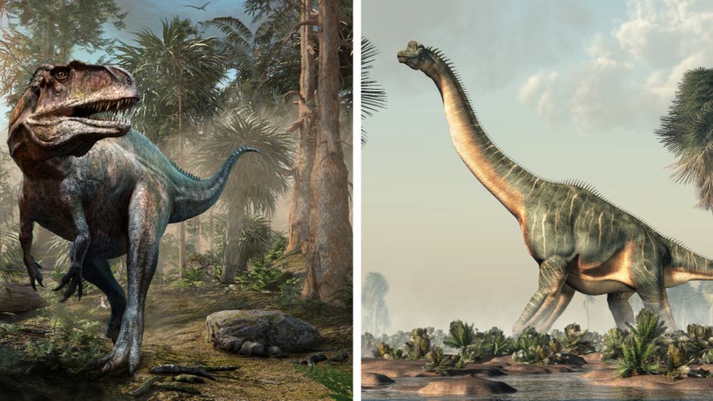 Colagem com imagens de representações de um Acrocanthosaurus e de um Sauroposeidon