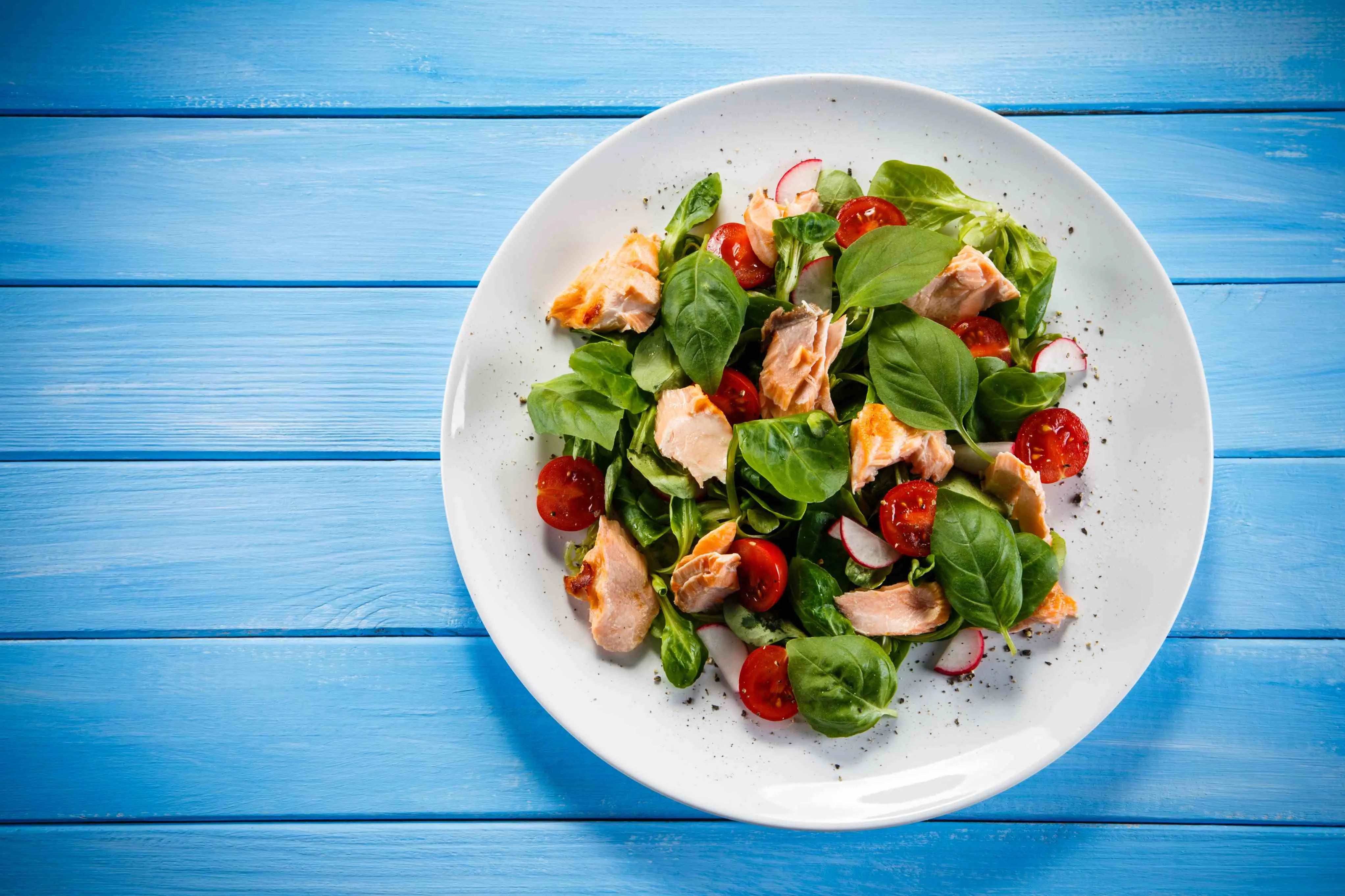 Imagem mostra prato com salada de salmão, ilustrando receita do prato