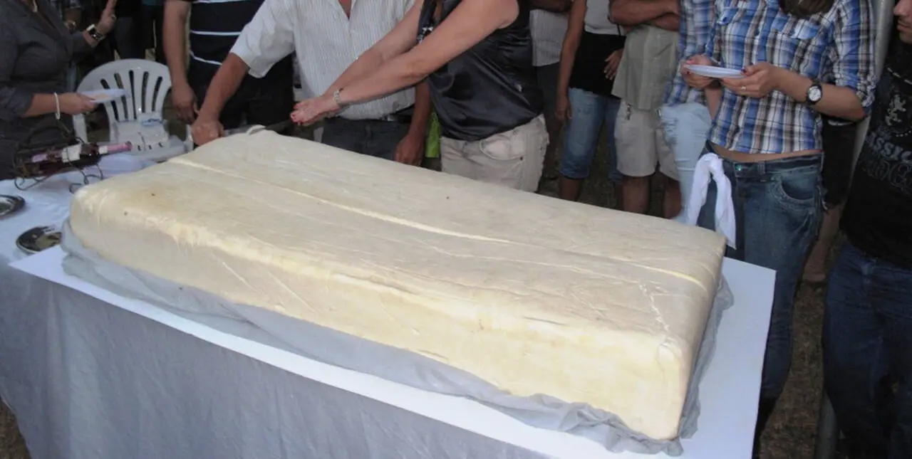 Criadores de ovinos e caprinos produziram queijo de leite de cabra de 120 kg