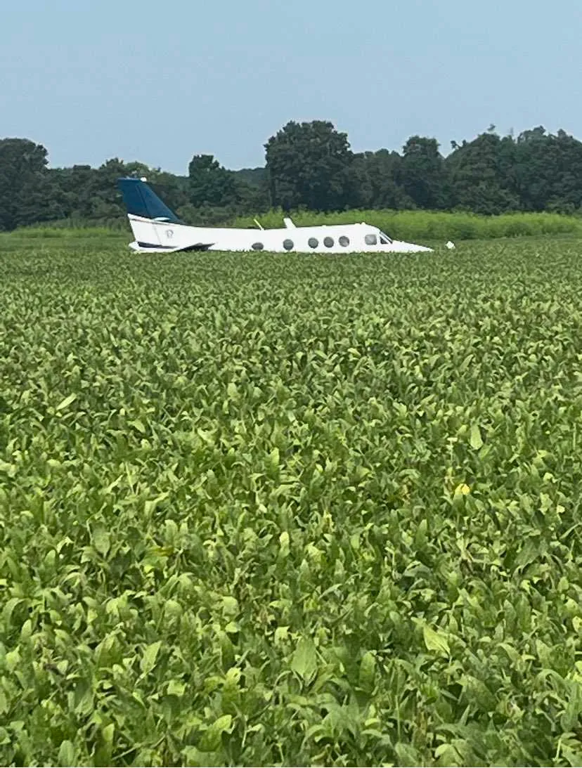Homem posou em área de pasto e, em seguida, foi preso
