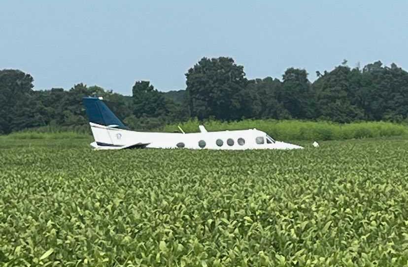 Homem posou em área de pasto e, em seguida, foi preso