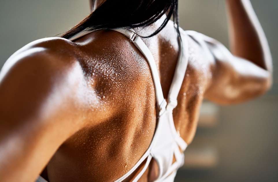 Exercicios para costas  Exercícios, Musculação, Hipertrofia muscular