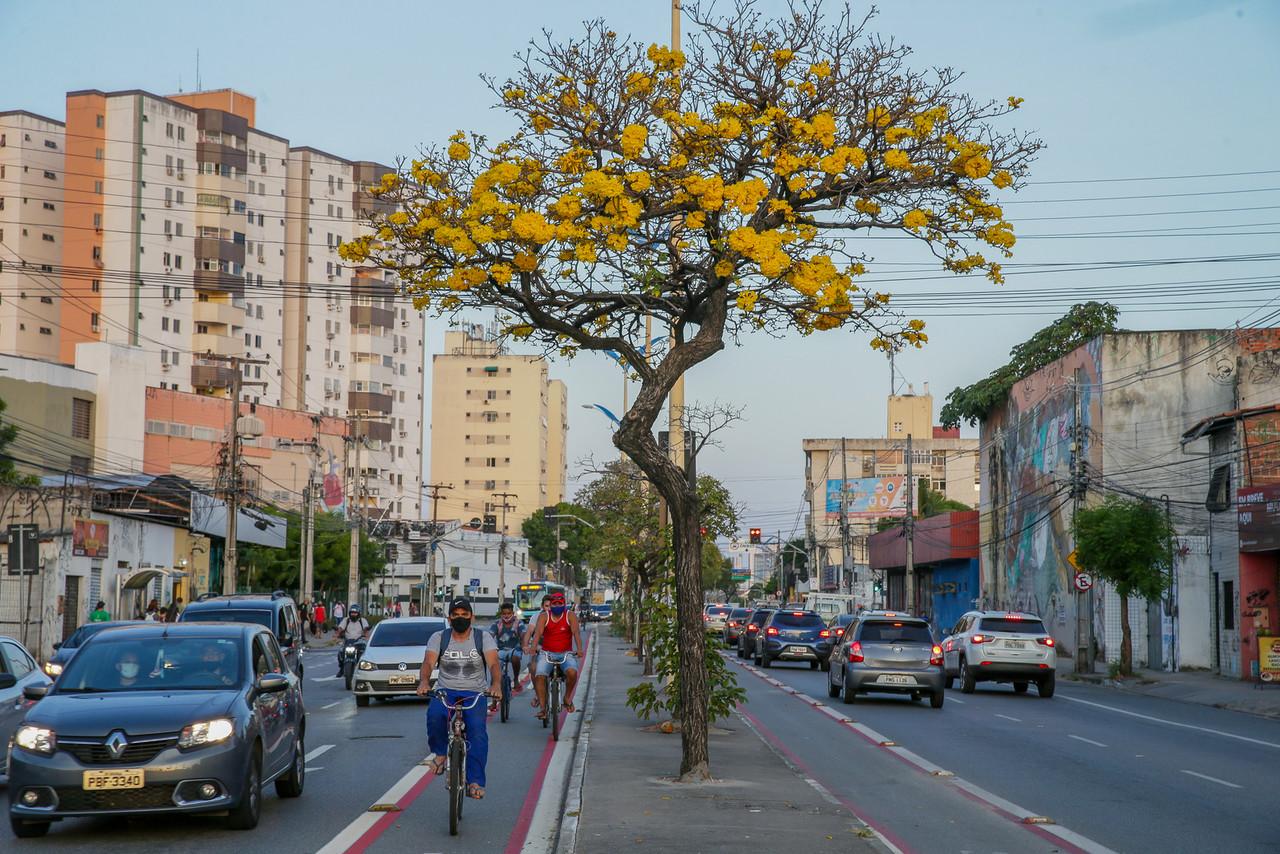 efeitos da primavera