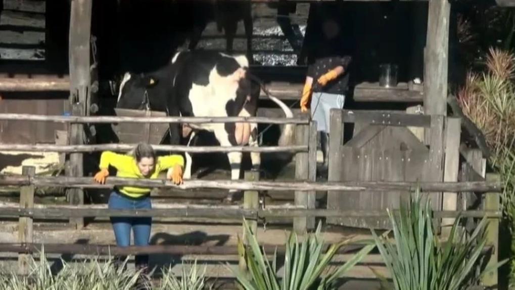 Deolane passando mal durante trato da vaca em A Fazenda