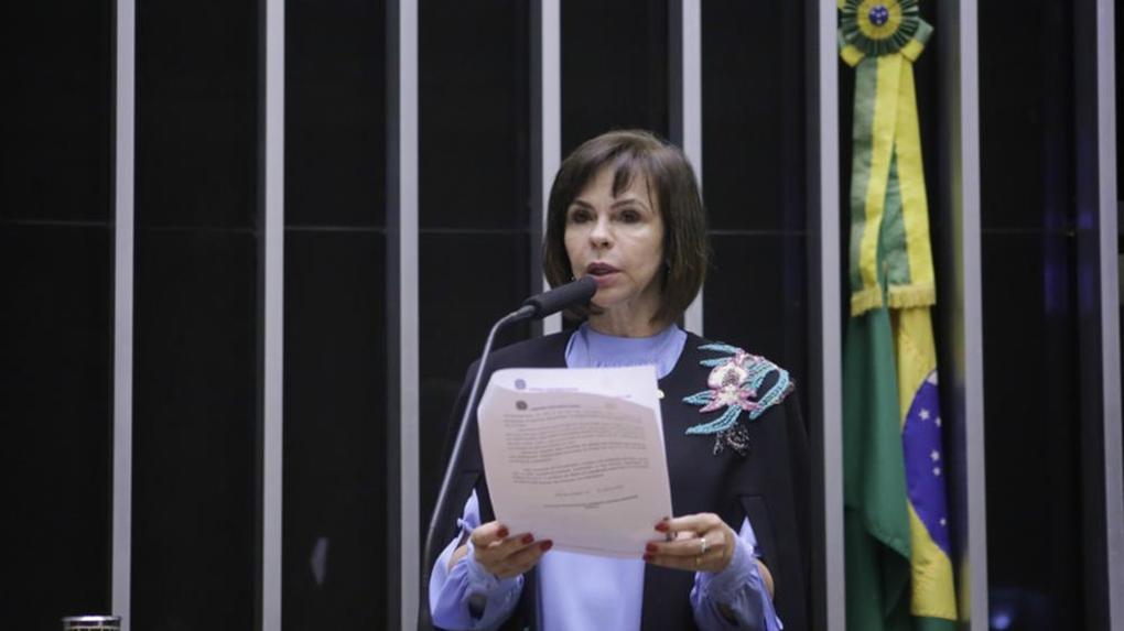Professora Dorinha fala em sessão da Câmara dos Deputados