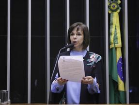 Professora Dorinha fala em sessão da Câmara dos Deputados