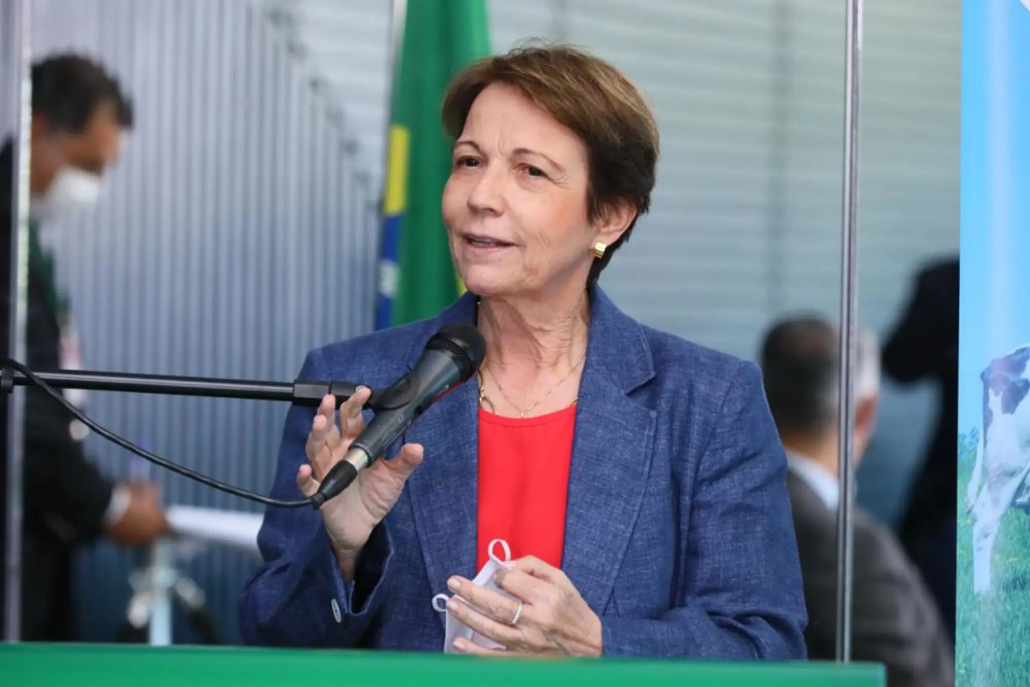 Tereza Cristina fala em sessão da Câmara dos Deputados
