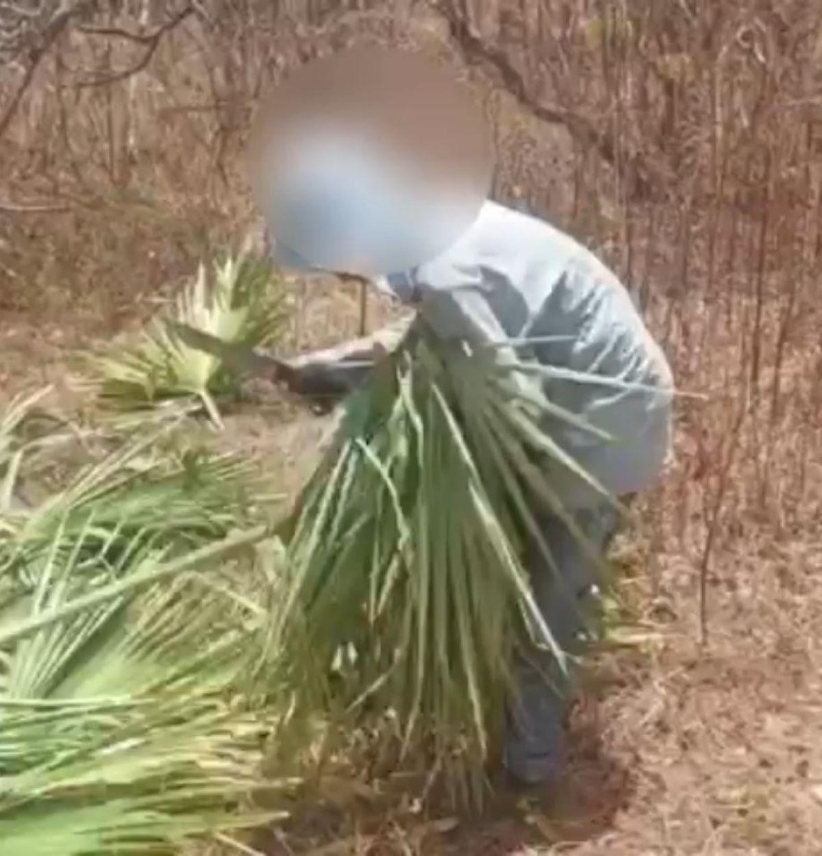 Criança de 11 anos flagrada em trabalho infantil no Ceará