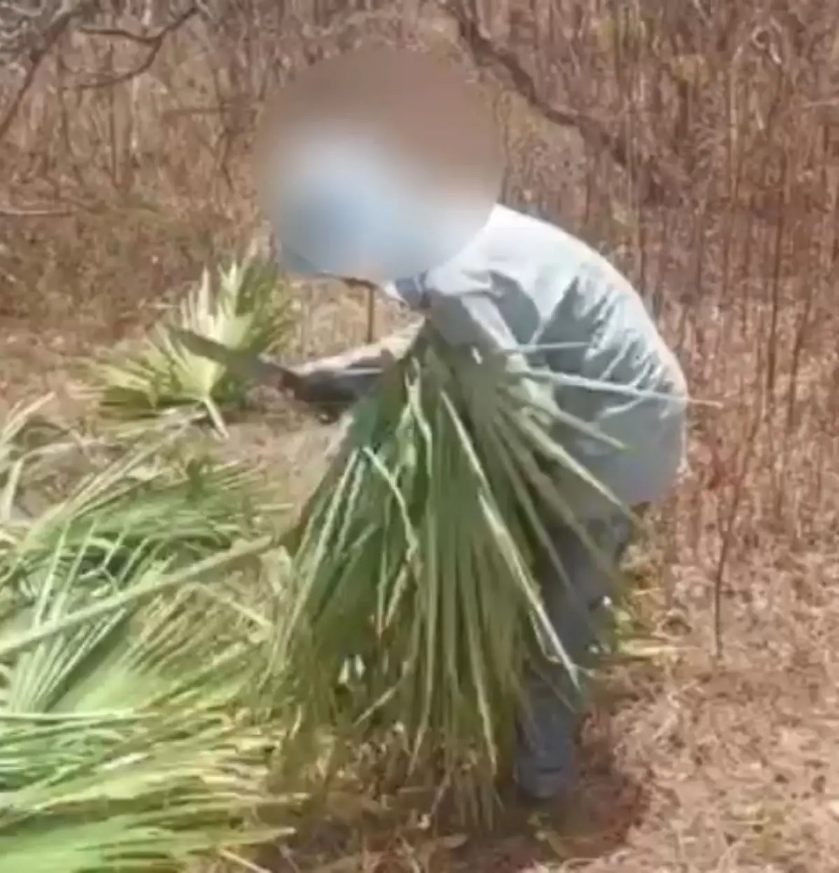 Criança de 11 anos flagrada em trabalho infantil no Ceará