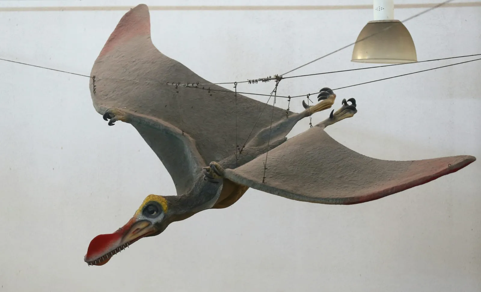 Escultura presente na Salão de Exposições da Seara da Ciência (UFC)