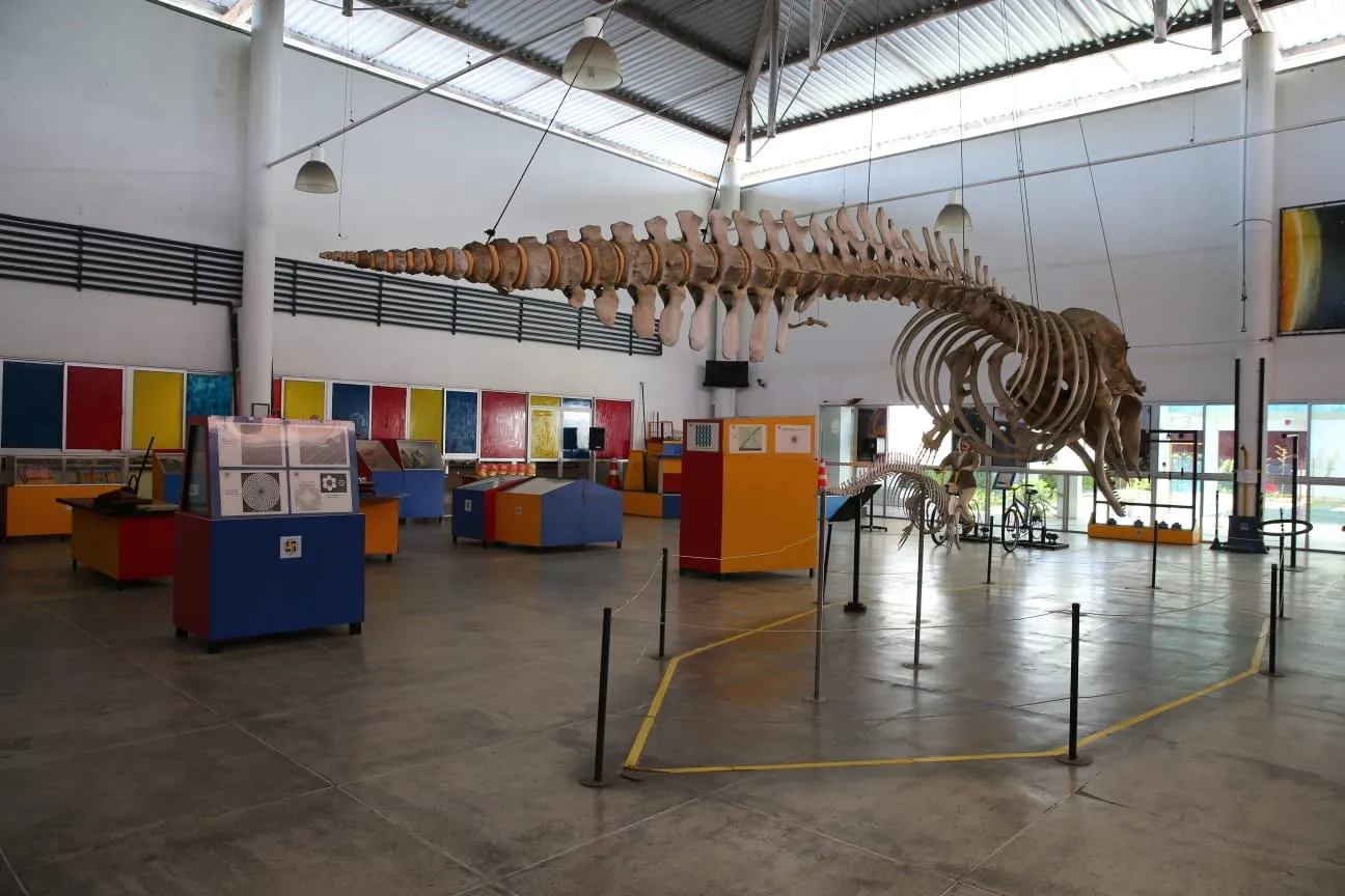 Seara da Ciência apresenta fósseis e esculturas de dinossauros