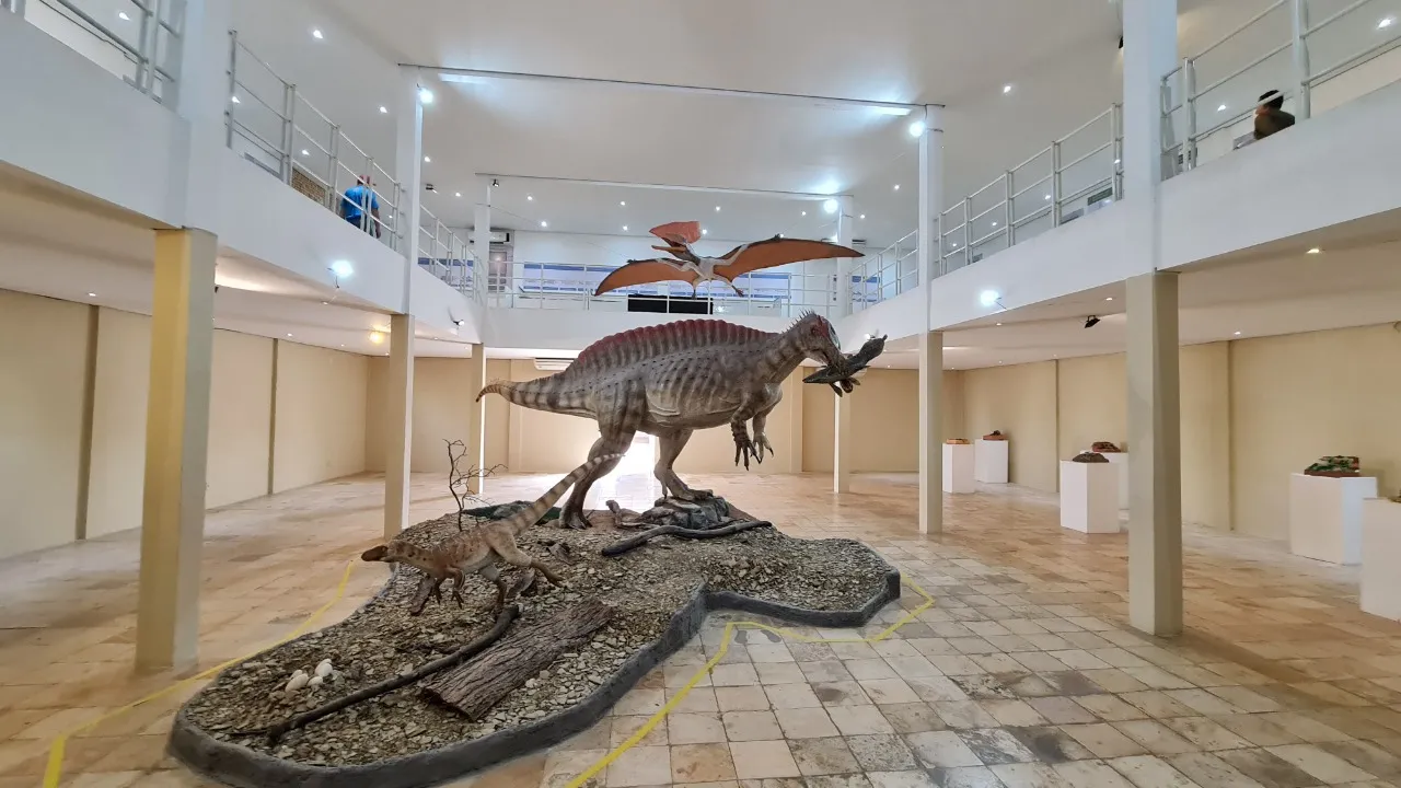 Peças do Museu de Paleontologia Plácido Cidade Nuvens, em Santana do Cariri