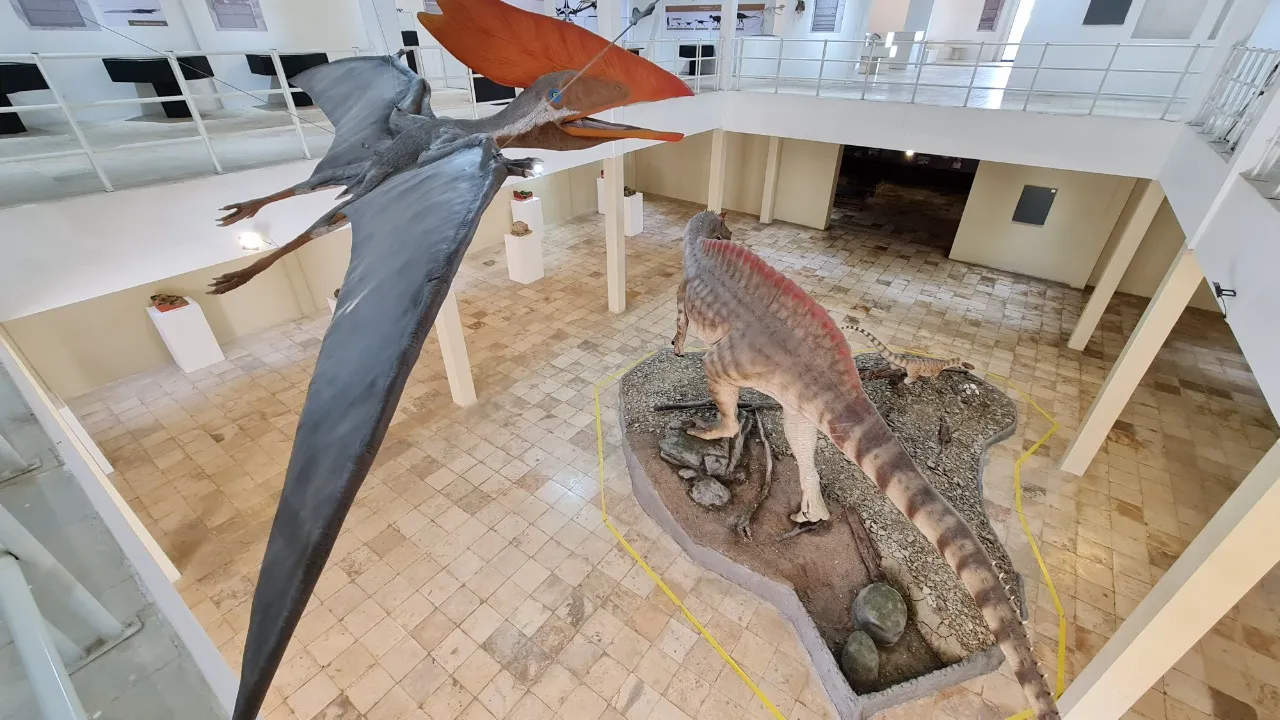 No Museu de Paleontologia, é possível ver fósseis de diversos animais