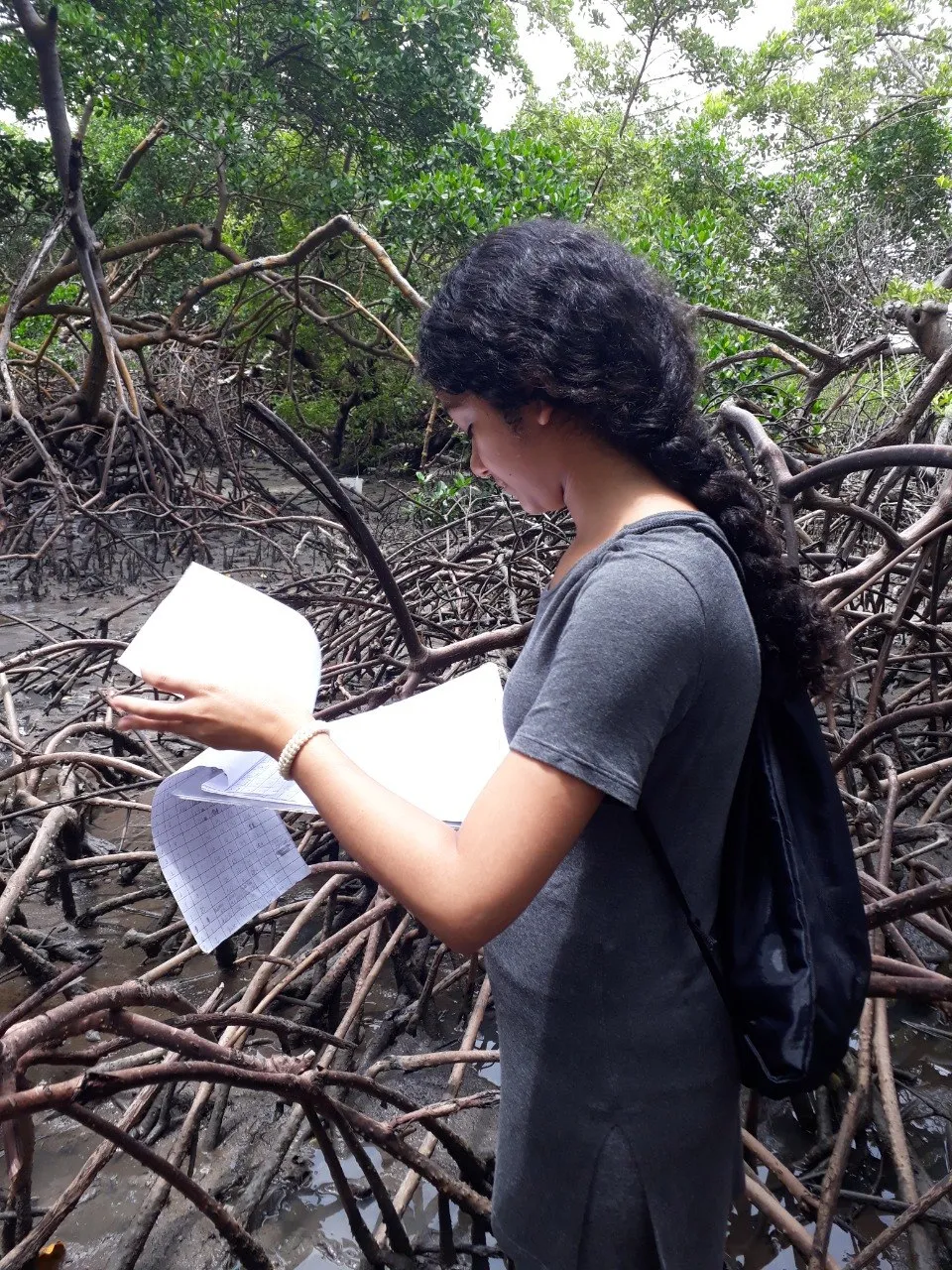 Estudantes realizam atividades no mangue durante estudo sobre ecossistema
