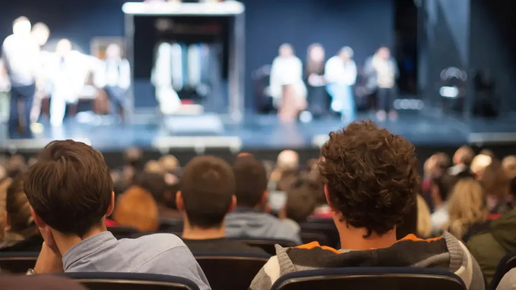 Meia-Entrada: Quem Tem Direito e Como Garantir o Seu Desconto em Eventos Culturais — ANEP