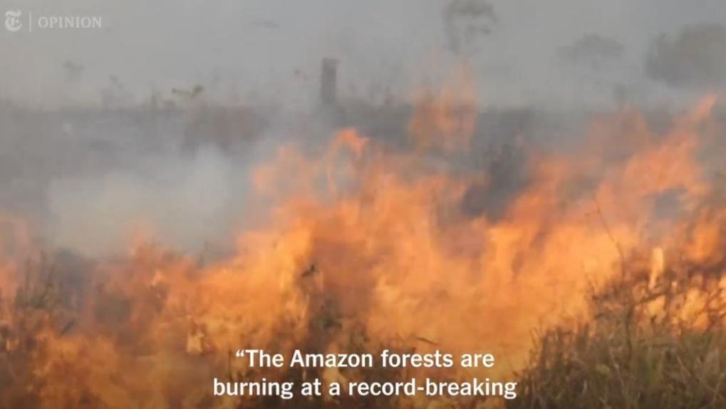Print de vídeo do the new york times sobre a amazônia e as eleições do Brasil