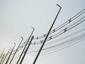 Postes de rede elétrica próximo ao Colégio Militar de Brasilia, no bairo da Asa Norte