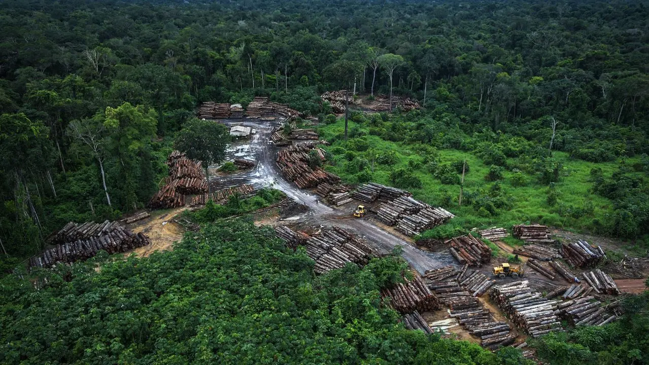 Amazônia