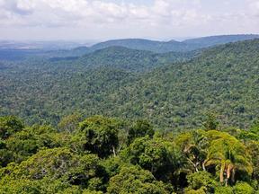 Vista aérea de parte da floresta amazônica.